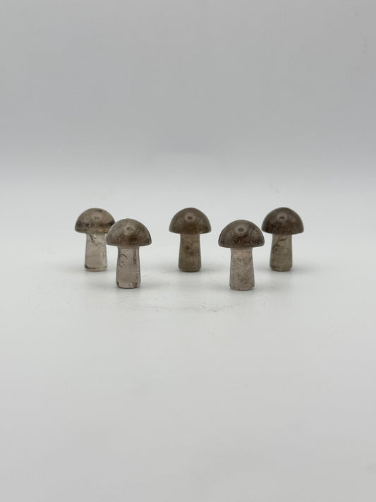 Smoky quartz mini mushrooms.