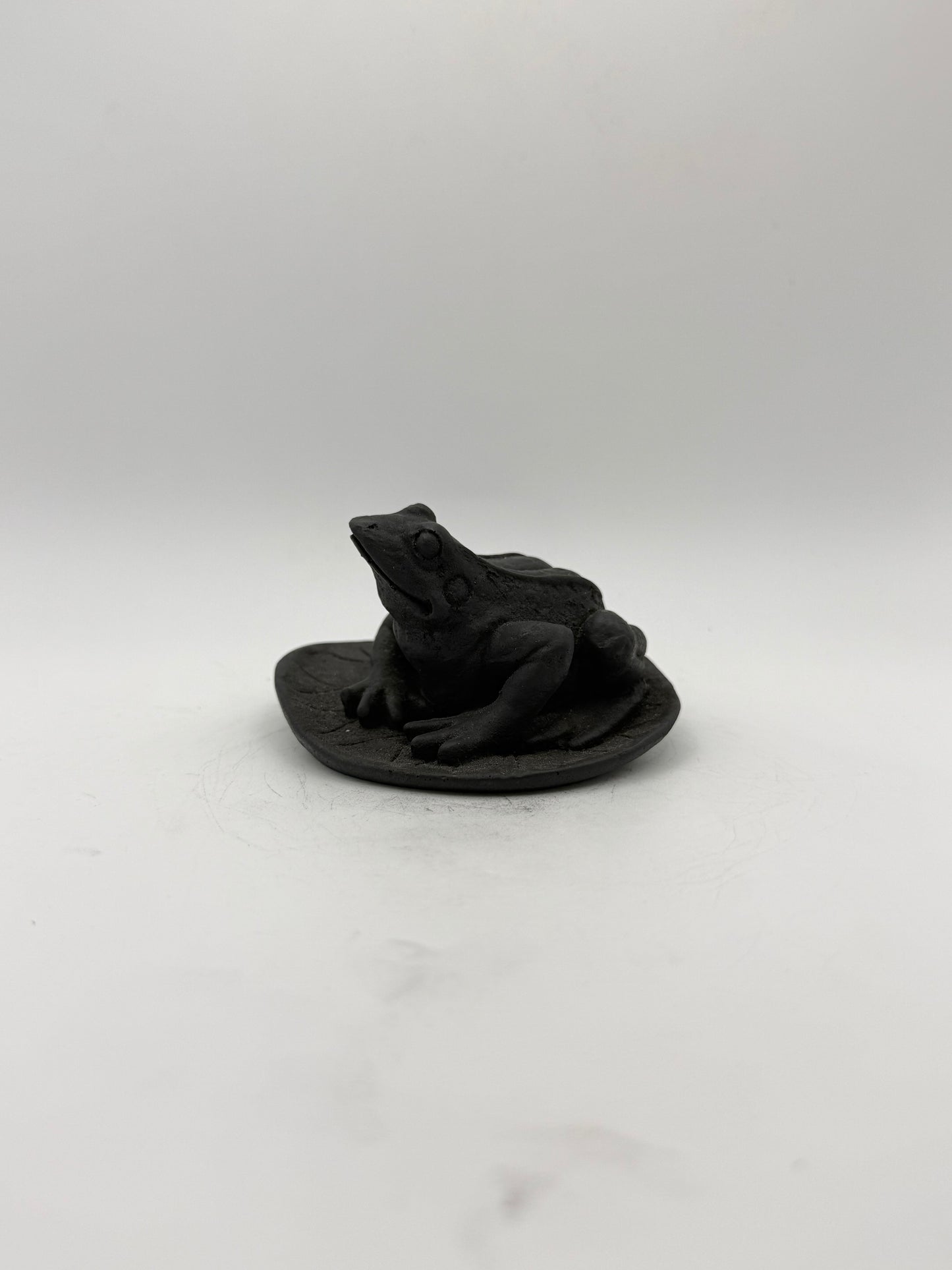 Shungite carving of a frog on a leaf.