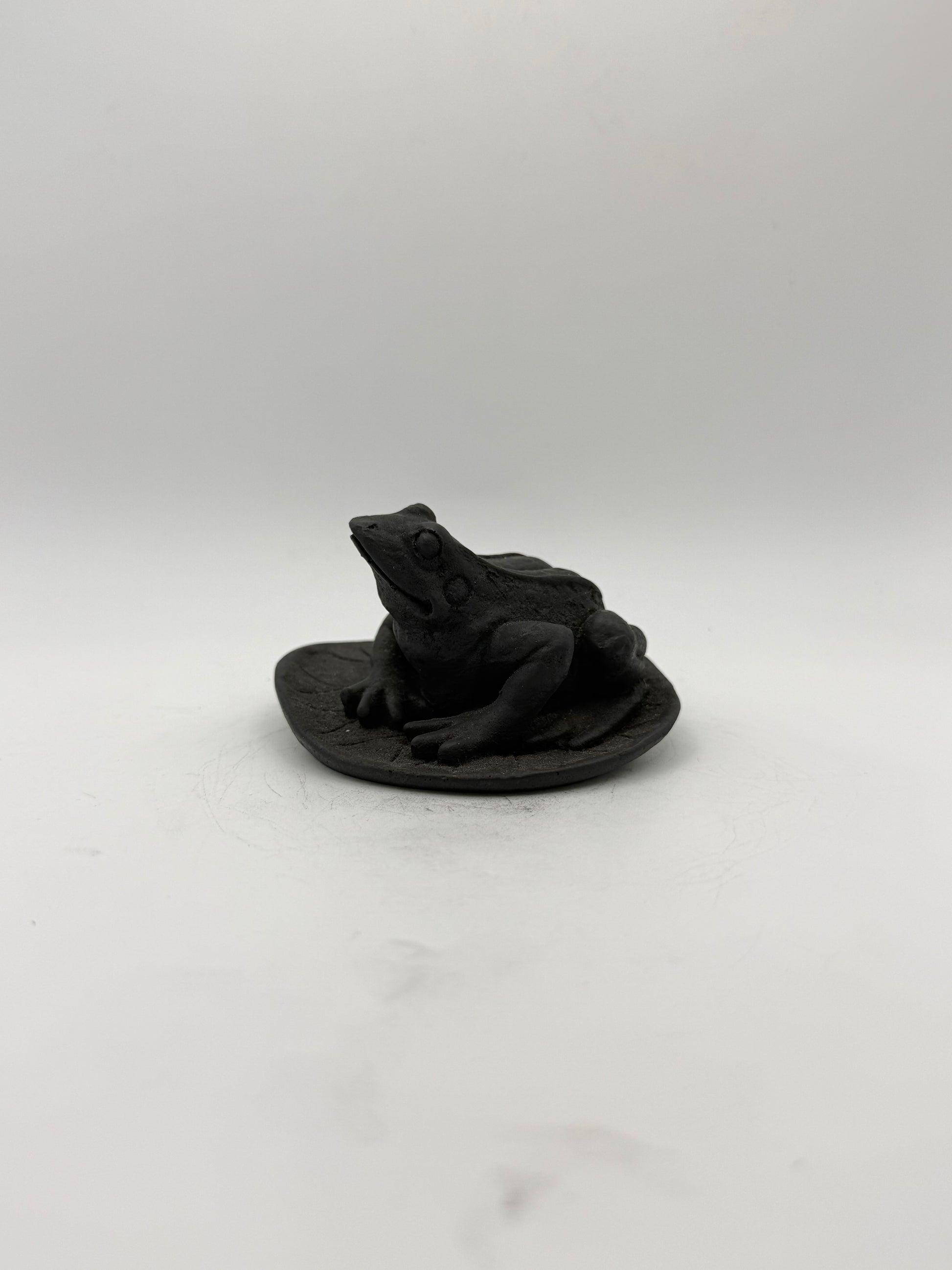 Shungite carving of a frog on a leaf.