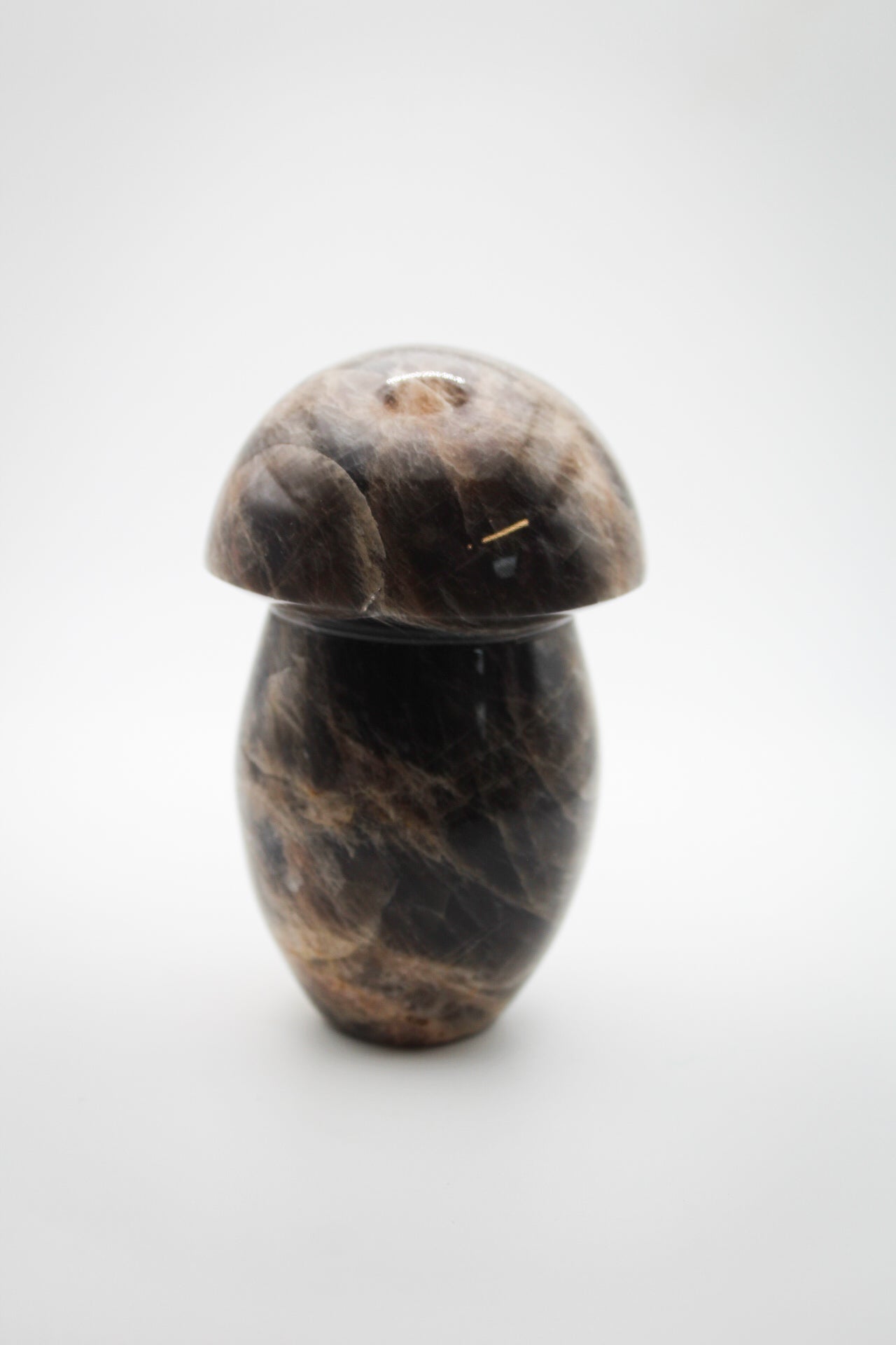 Black Moonstone Mushroom 2