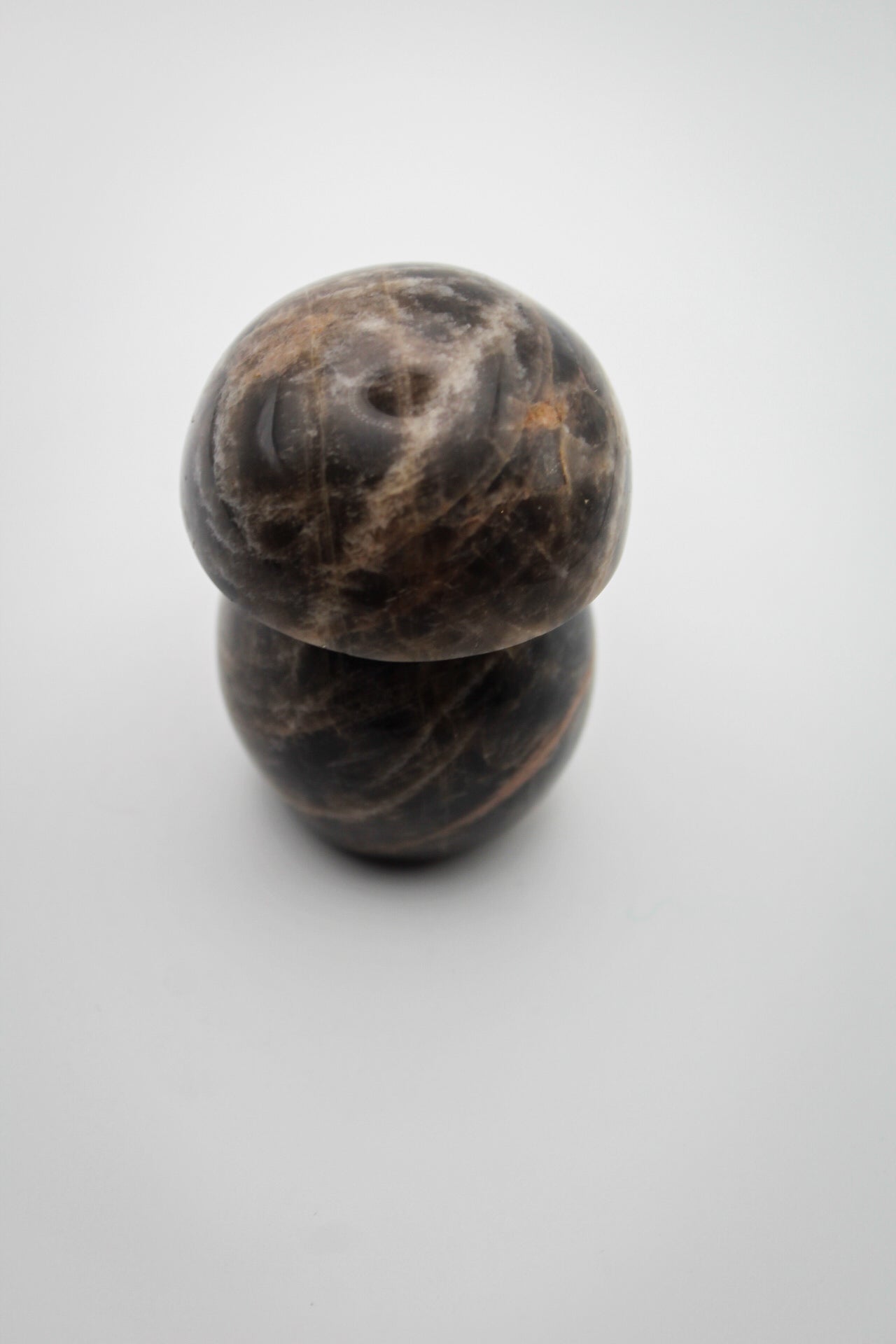 Black Moonstone Mushroom A