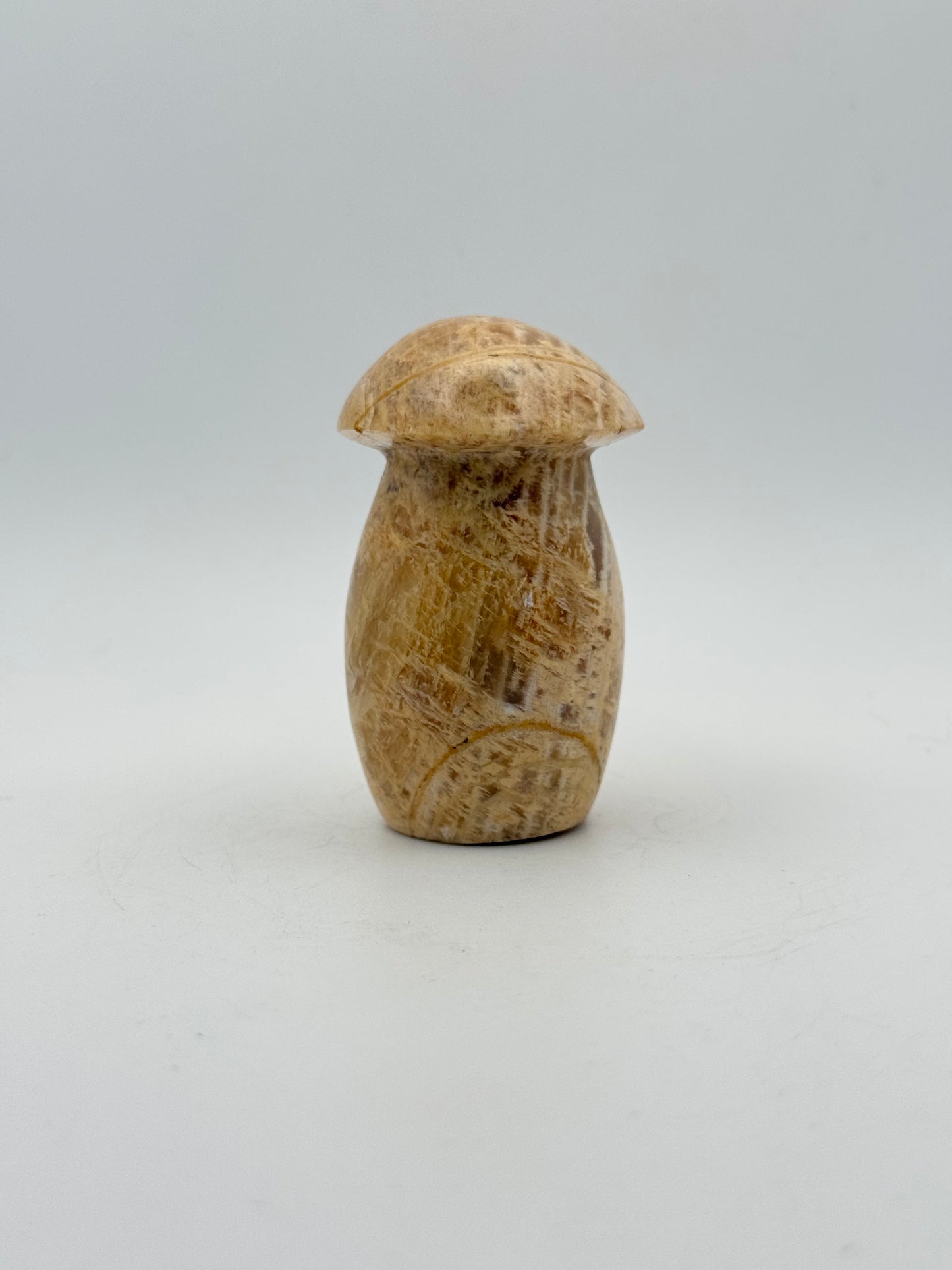 Polished yellow moonstone in the shape of a mushroom.