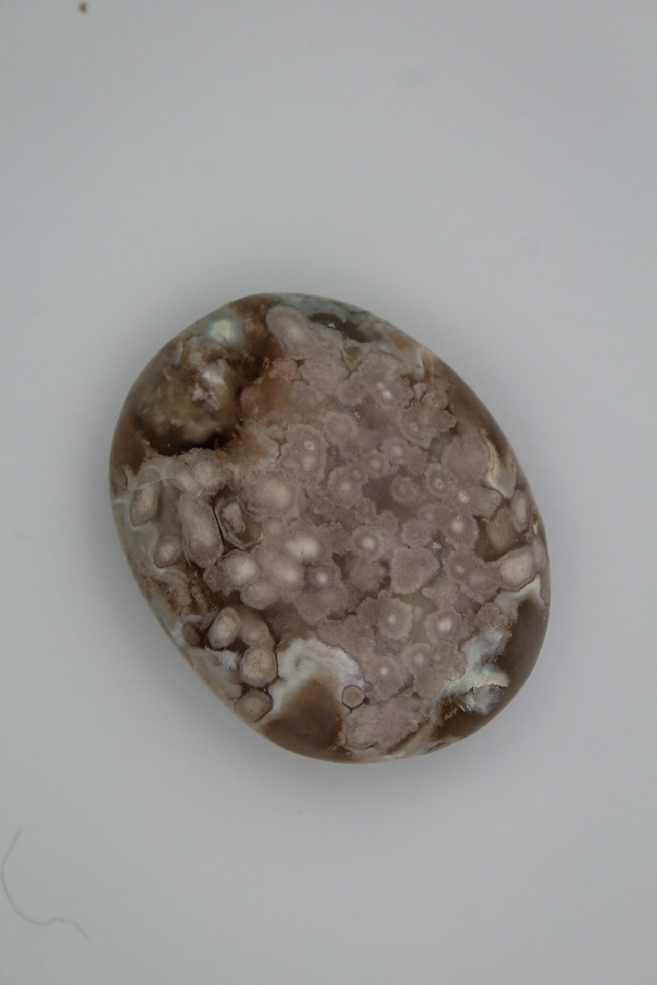 Flower Agate palm 8