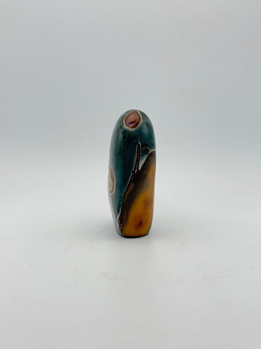 A polished polychrome jasper free from.