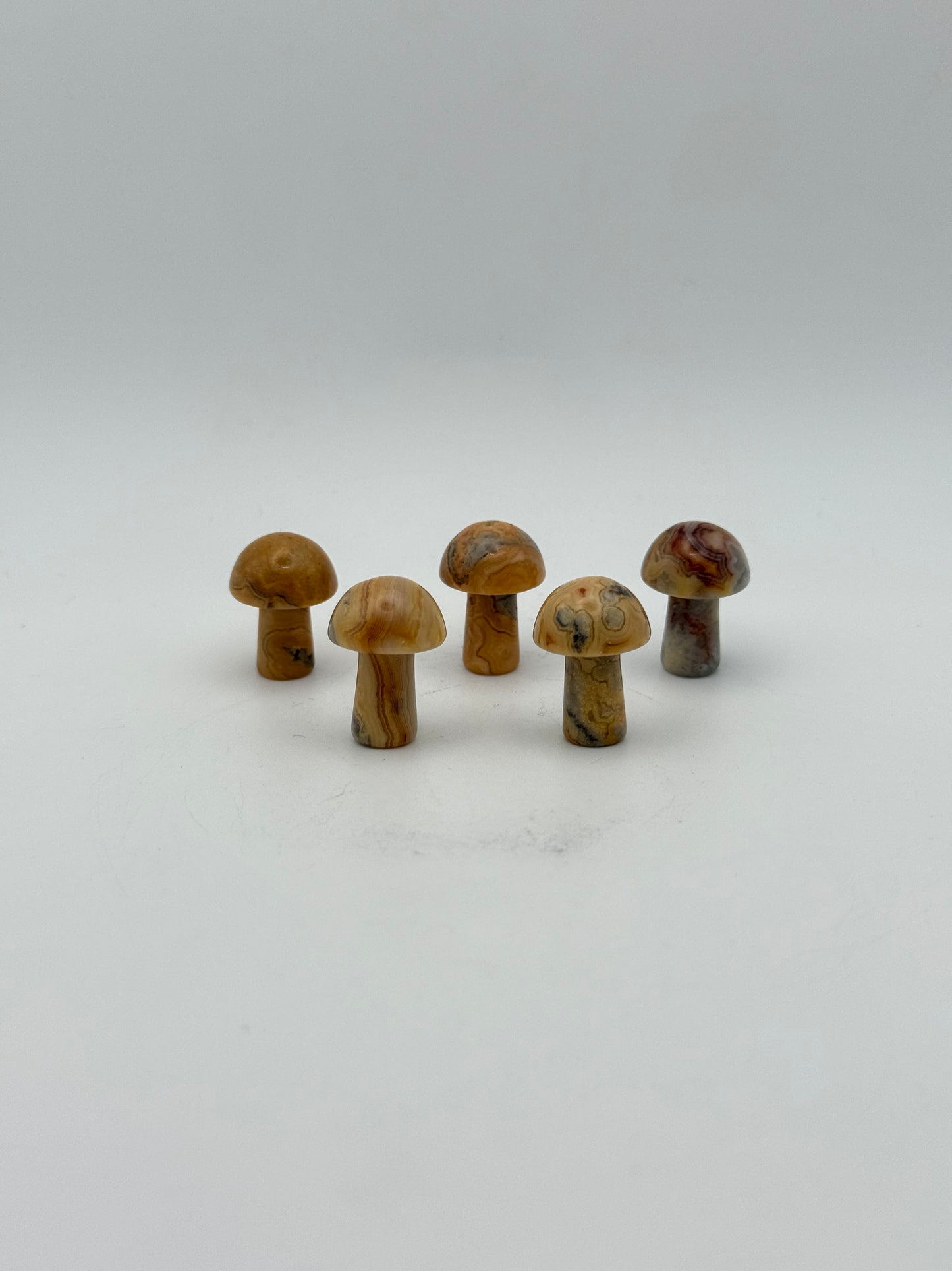 Set of five yellow crazy lace agate mushrooms.