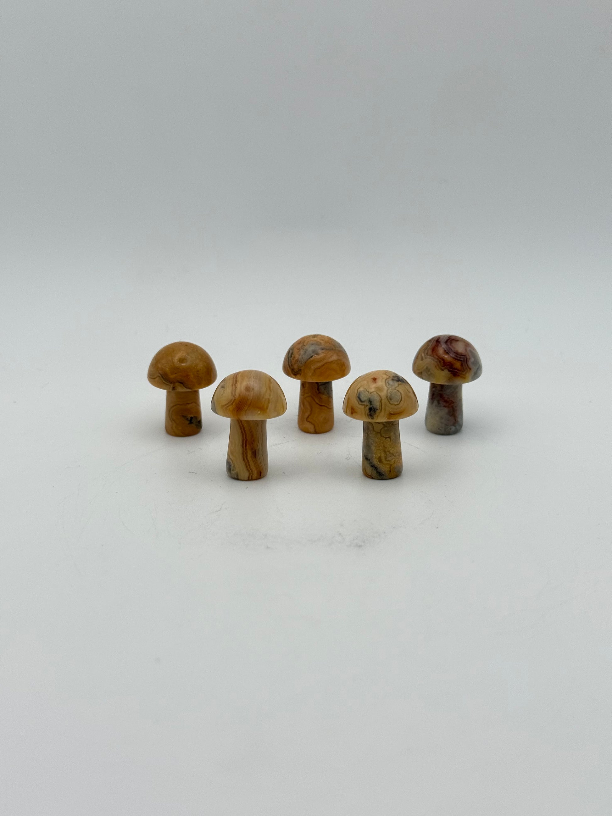 Set of five yellow crazy lace agate mushrooms.