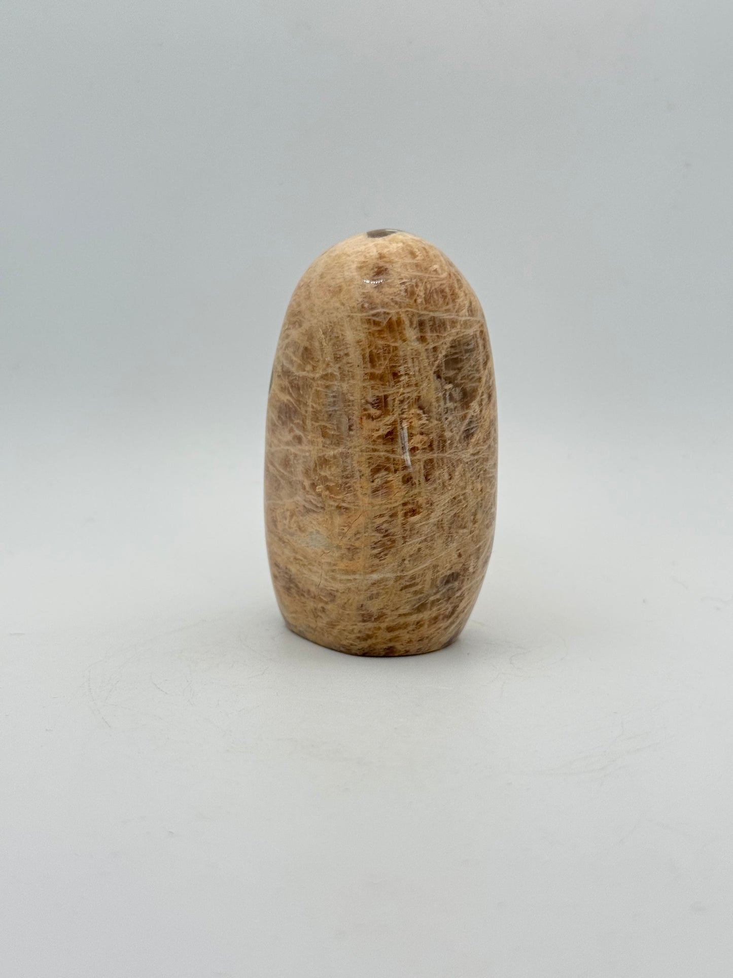 Polished yellow moonstone free form.
