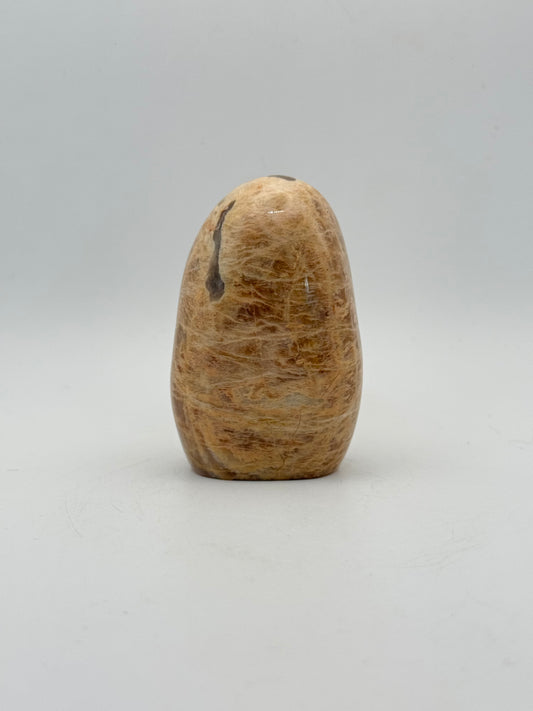 Polished yellow moonstone free form.