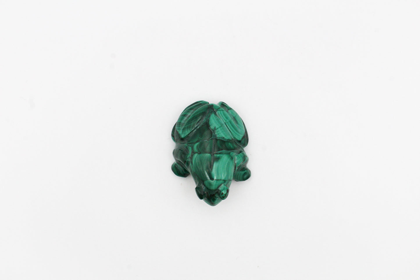 Malachite Frog 2