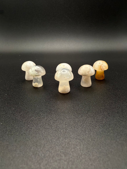 Polished flower agate crystal in the shape of mini mushrooms