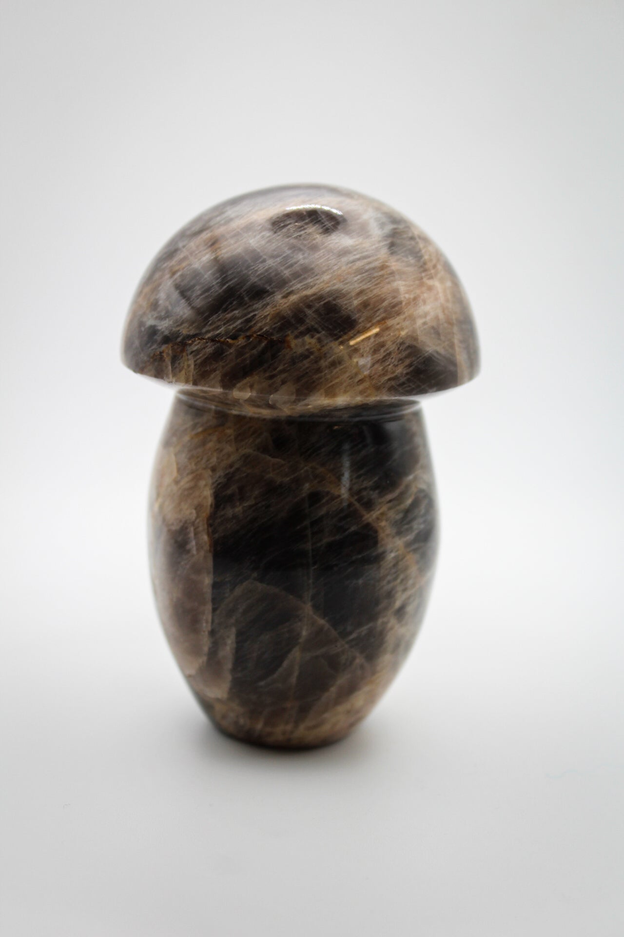 Black Moonstone Mushroom 2