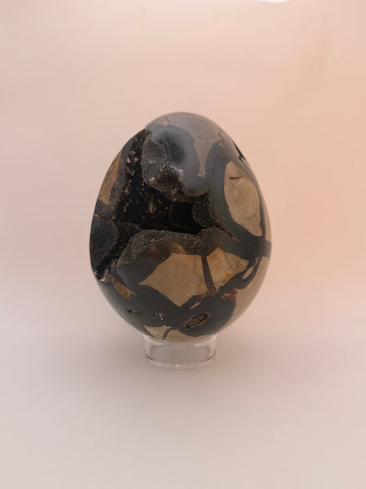 Large septarian egg.