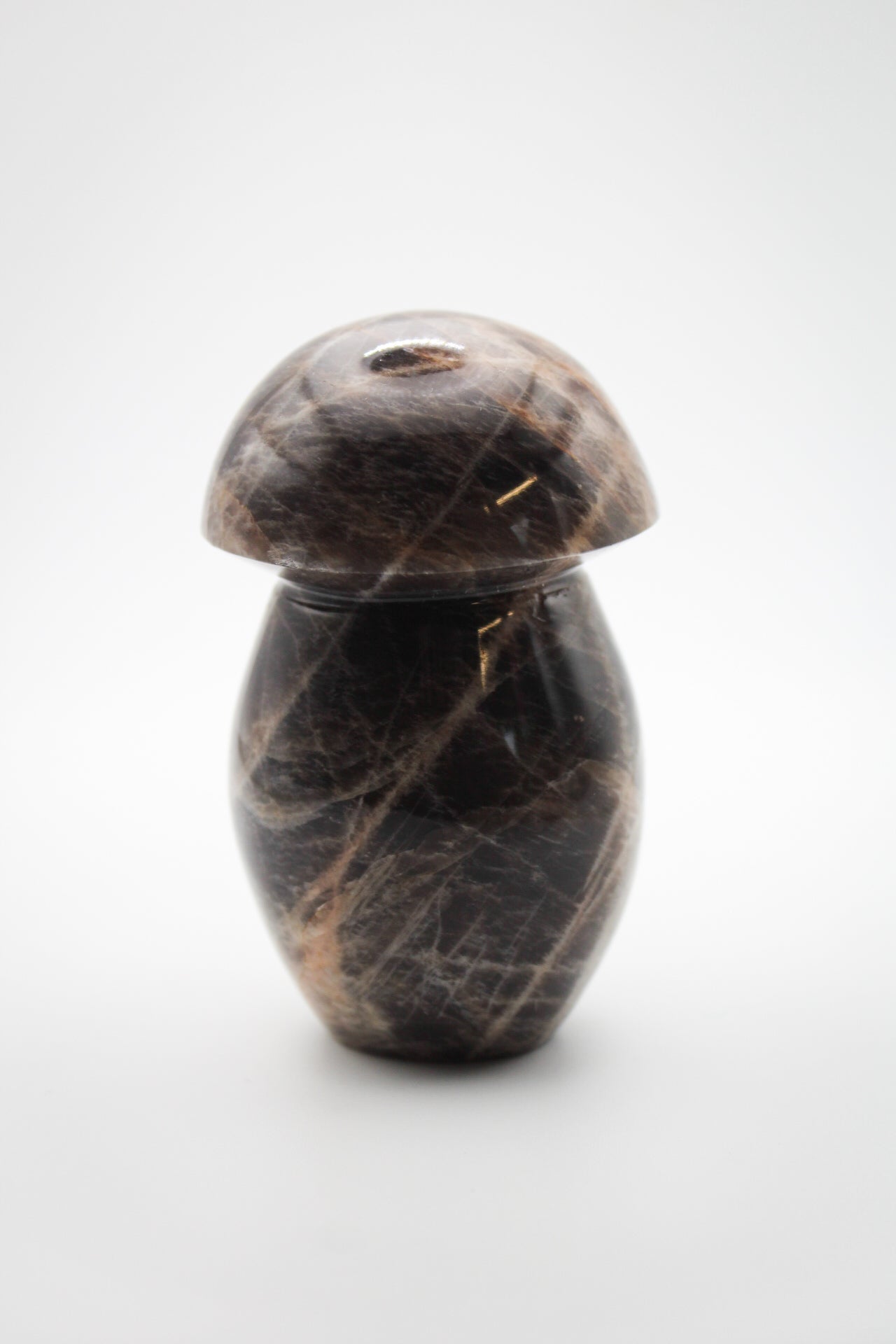 Black Moonstone Mushroom 1