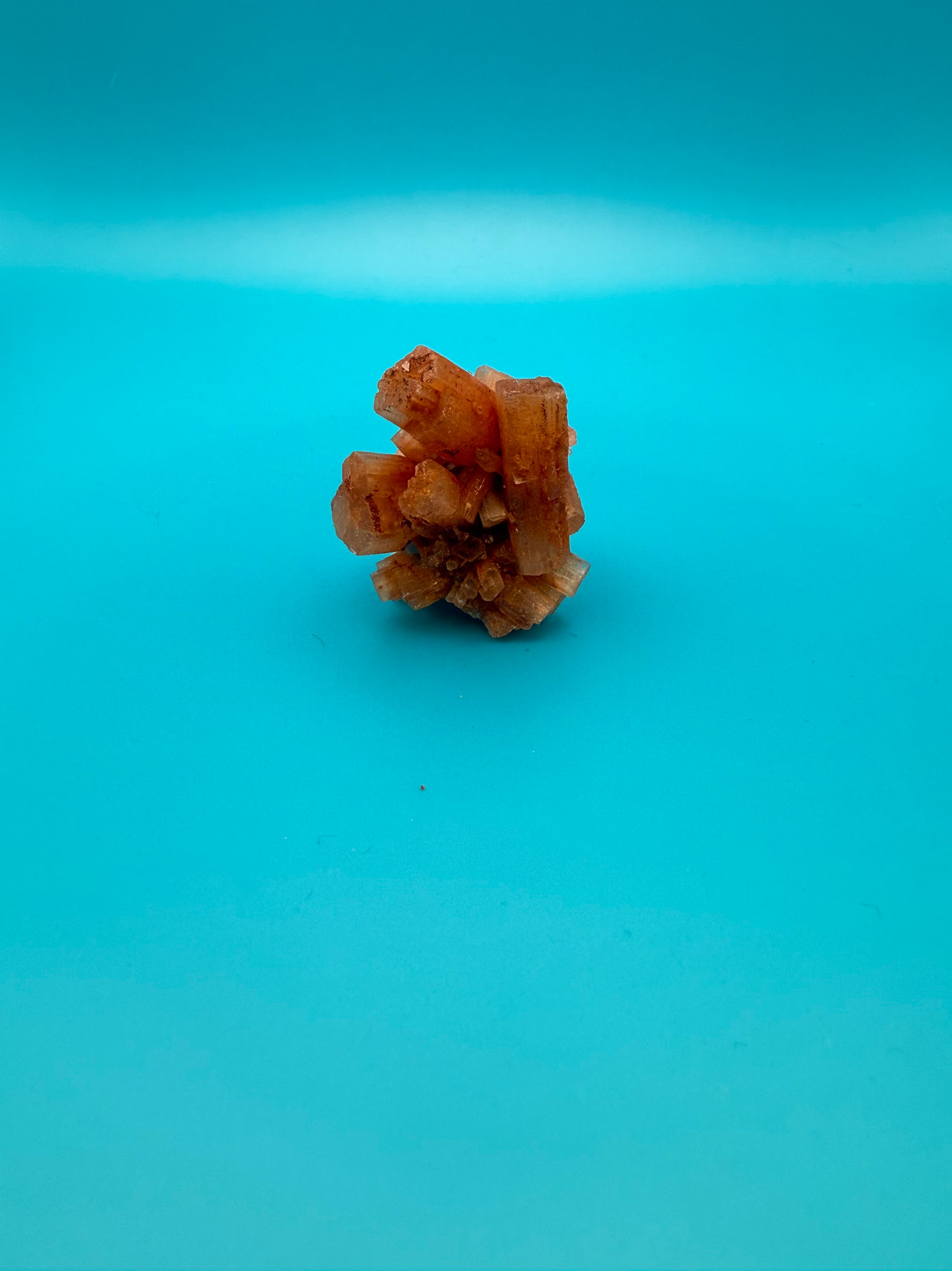 Aragonite cluster with nice crystal formations.