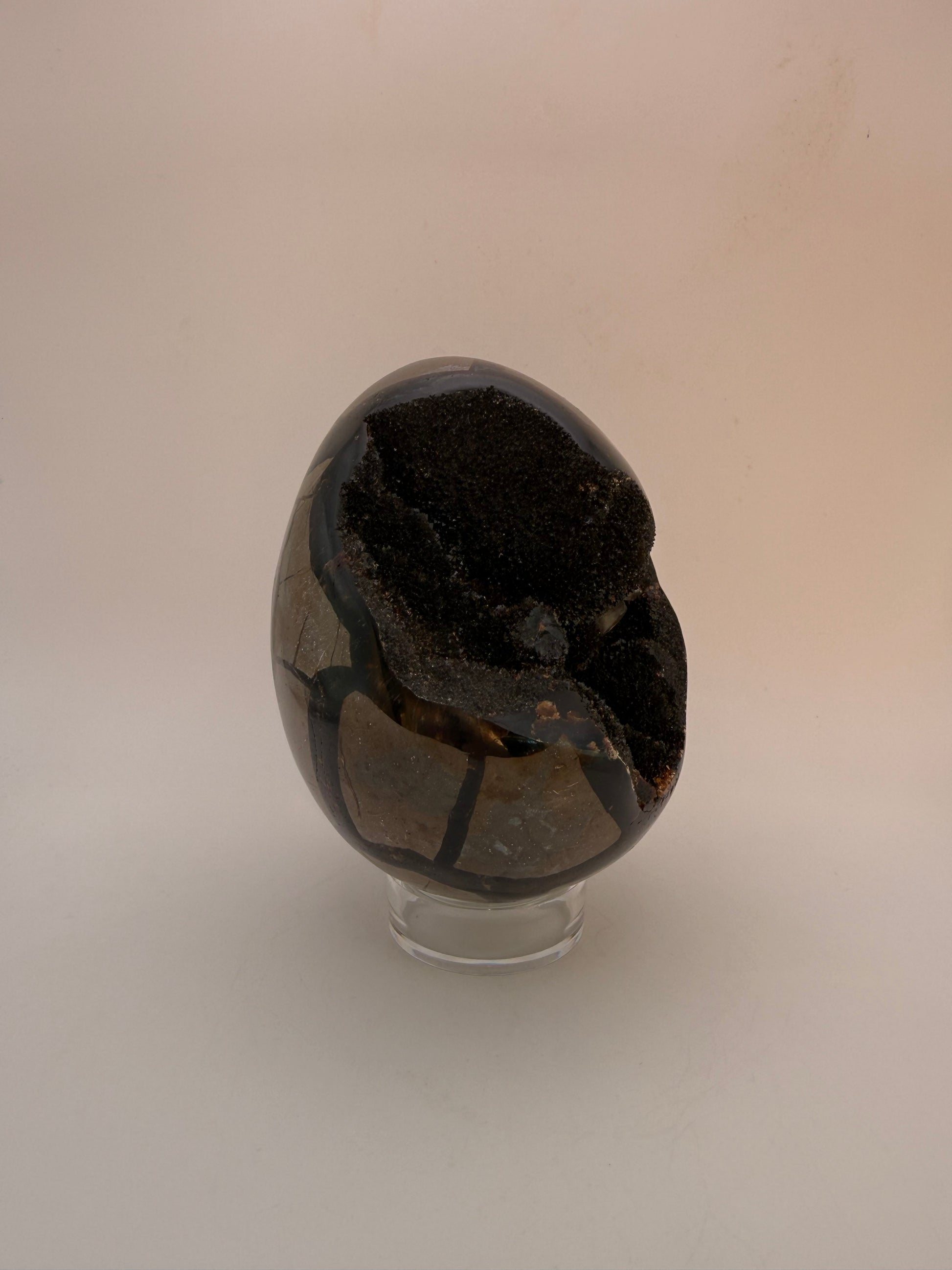 Large septarian egg.