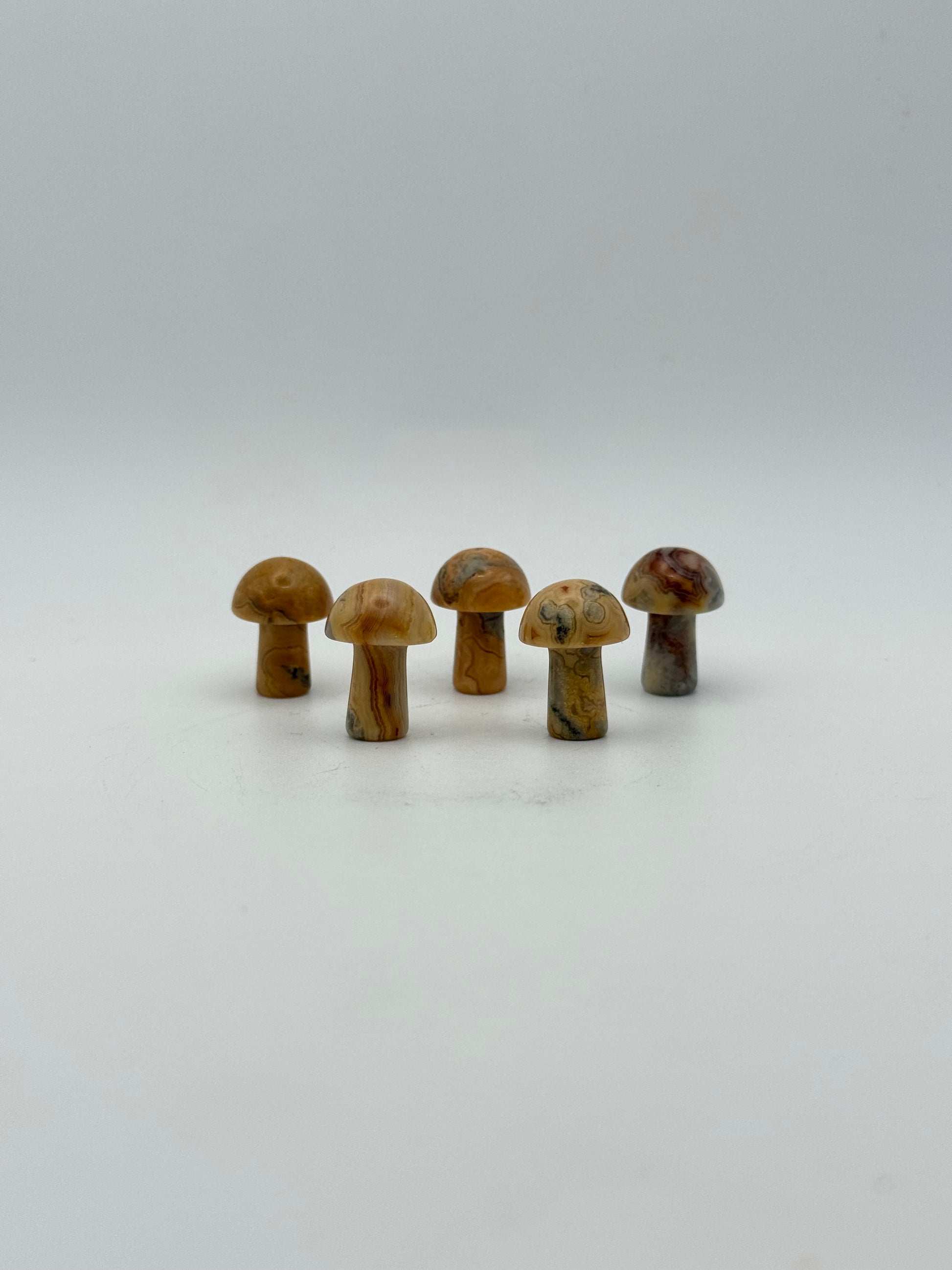 Set of five yellow crazy lace agate mushrooms.