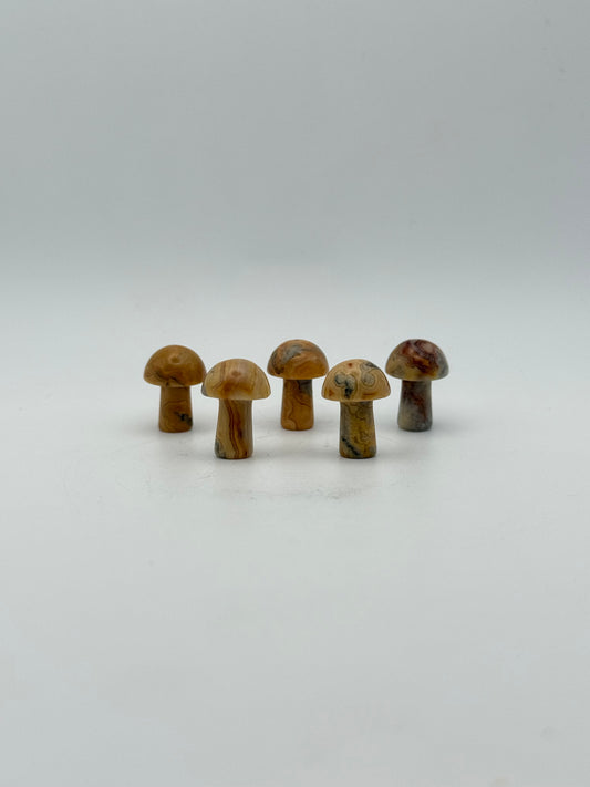 Set of five yellow crazy lace agate mushrooms.