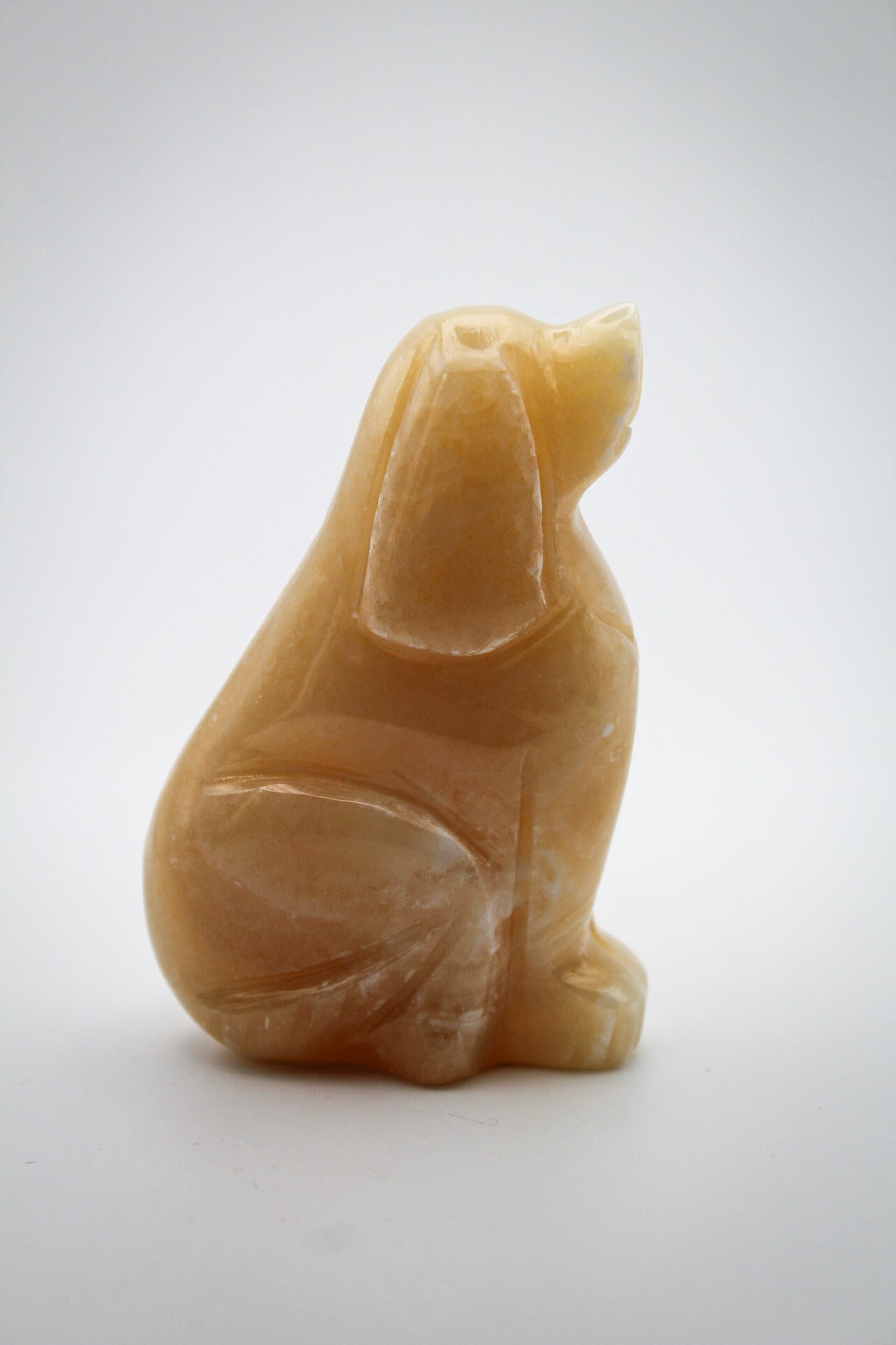 Dog Carving 4