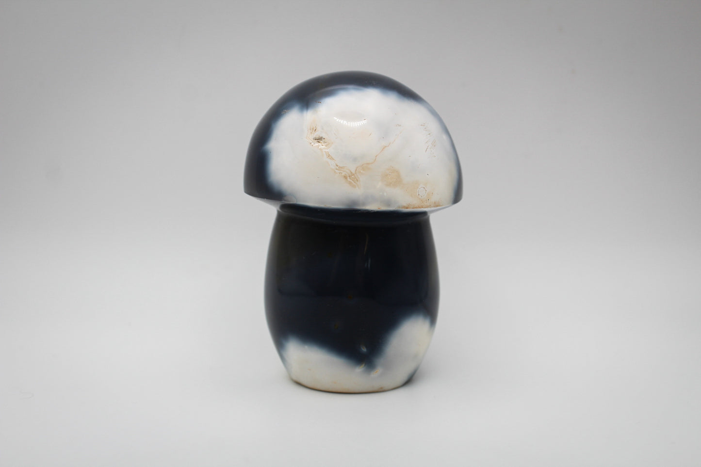 Orca Agate Mushroom 4