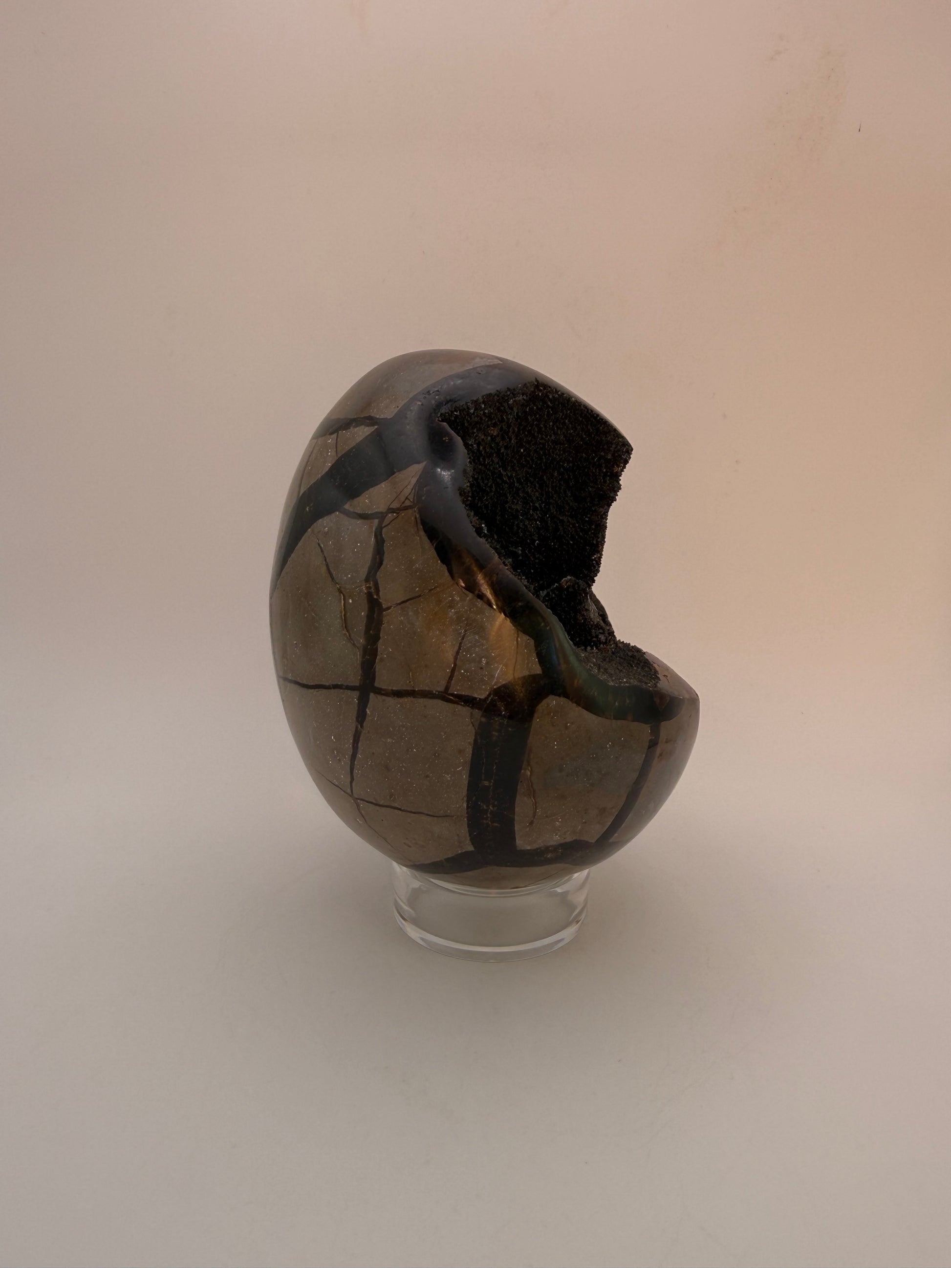 Large septarian egg.