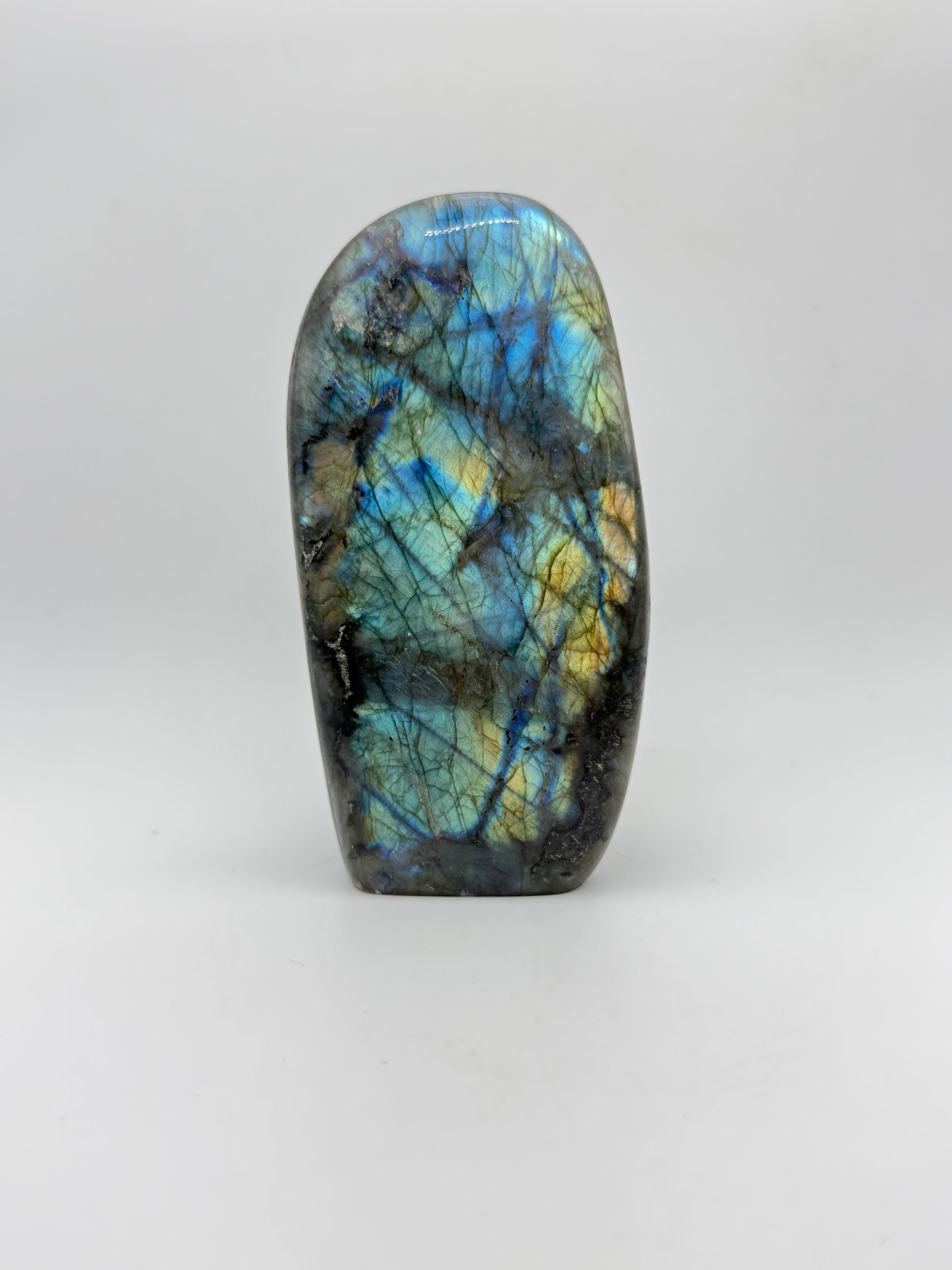 Polished labradorite free form.