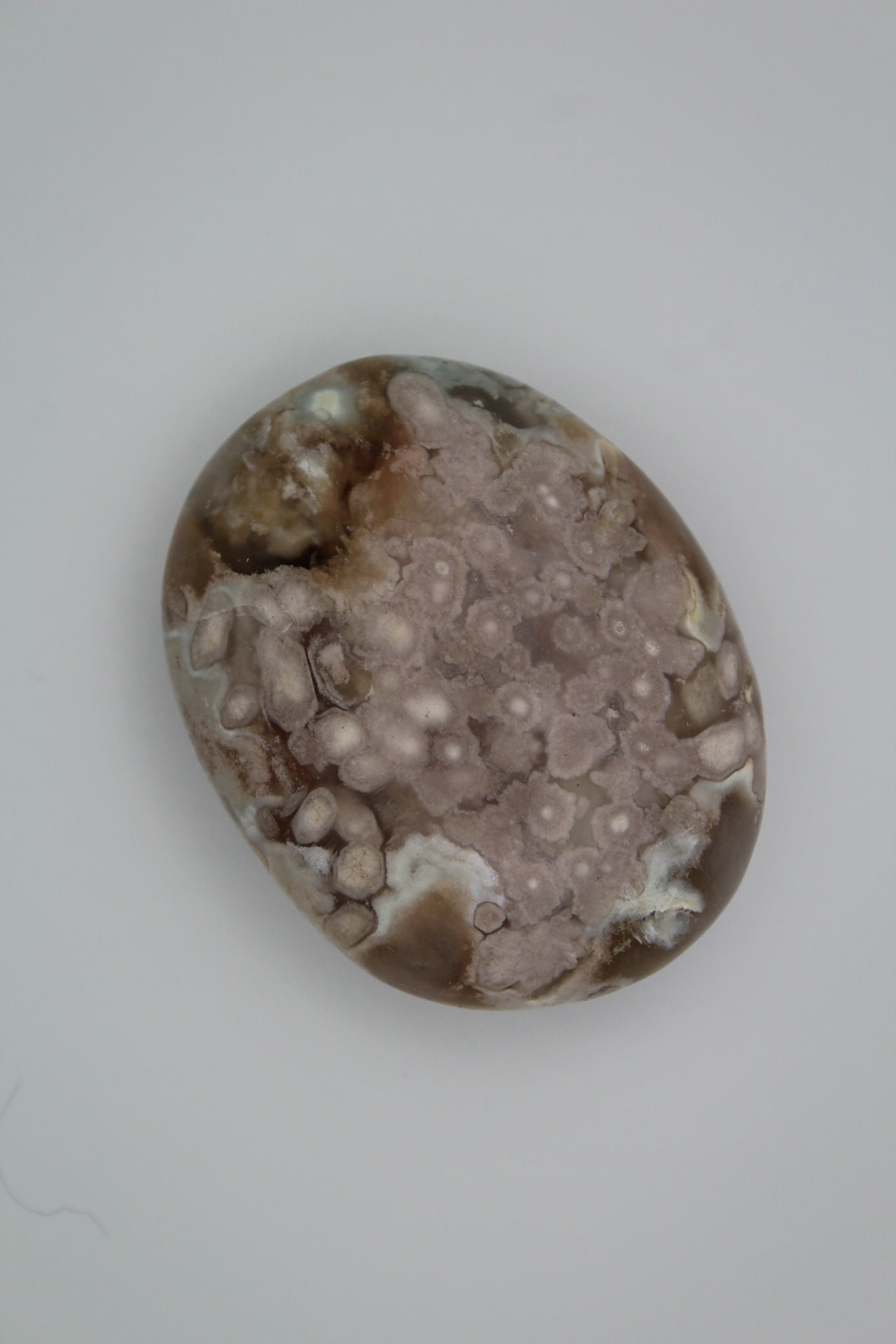 Flower Agate palm 8