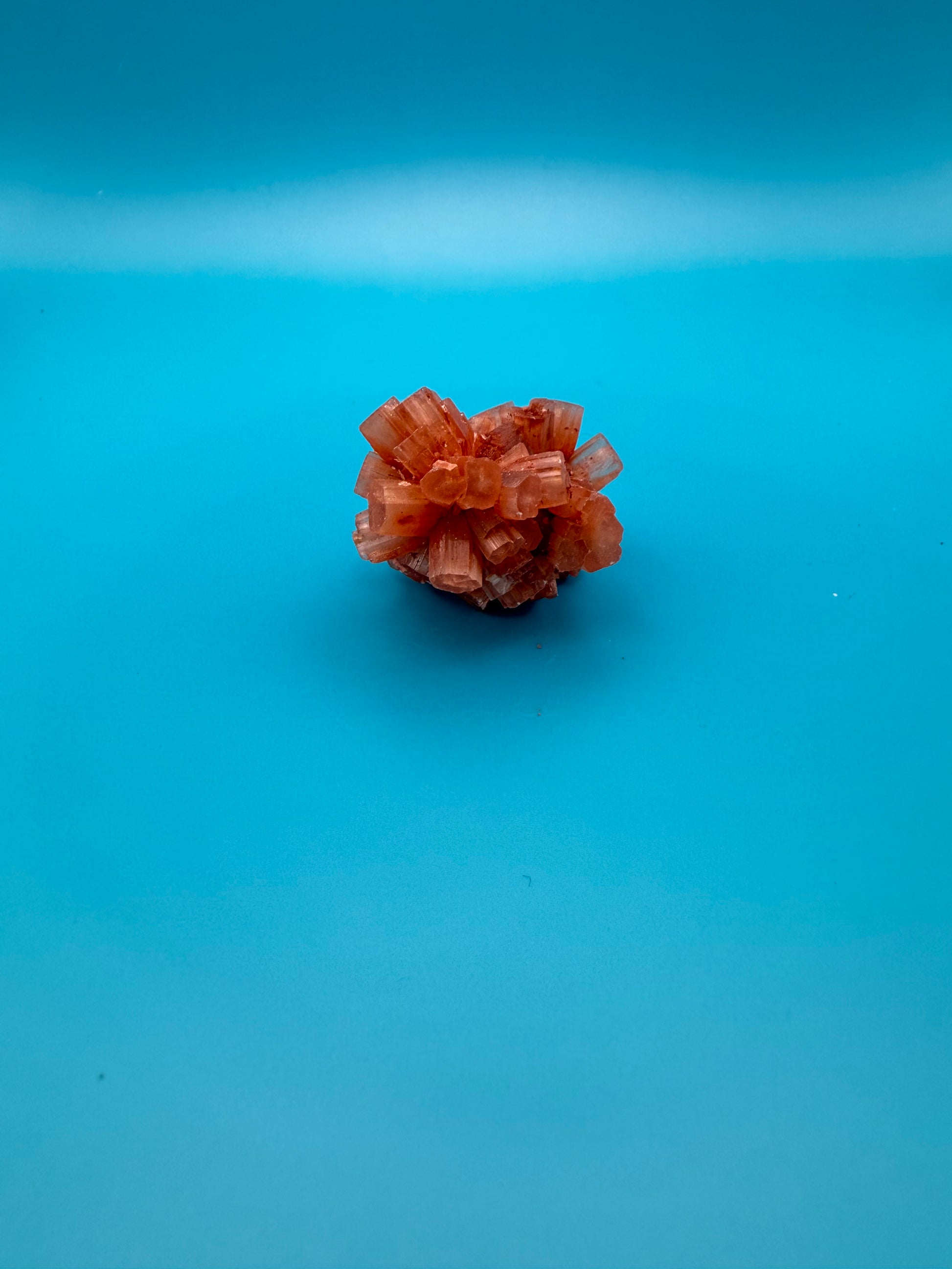 Aragonite cluster with nice crystal formations.