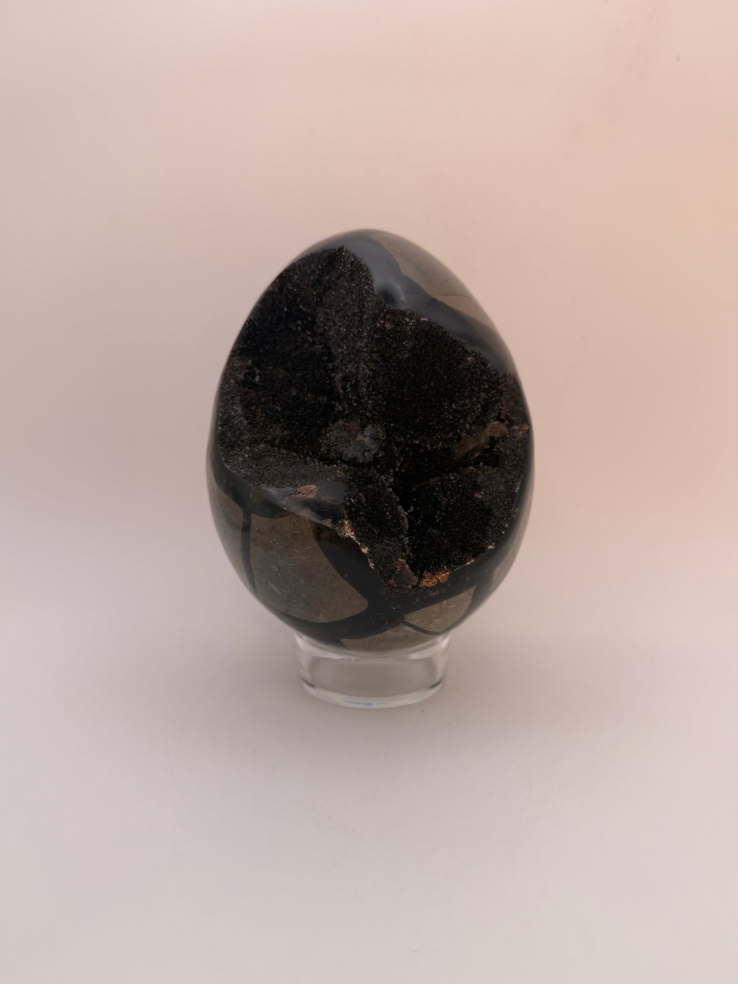 Large septarian egg.