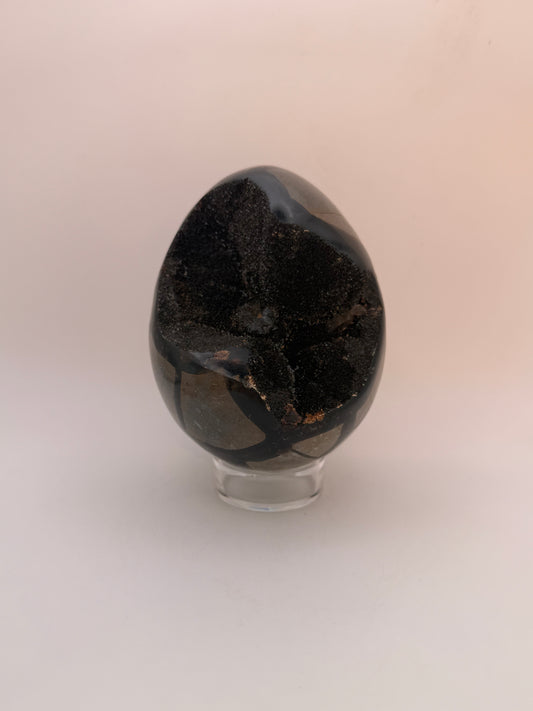 Large septarian egg.