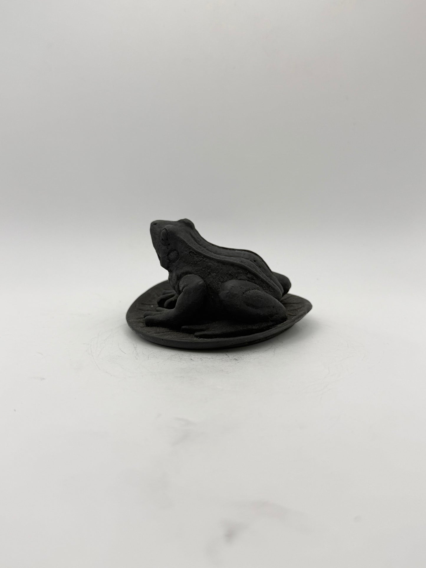 Shungite carving of a frog on a leaf.