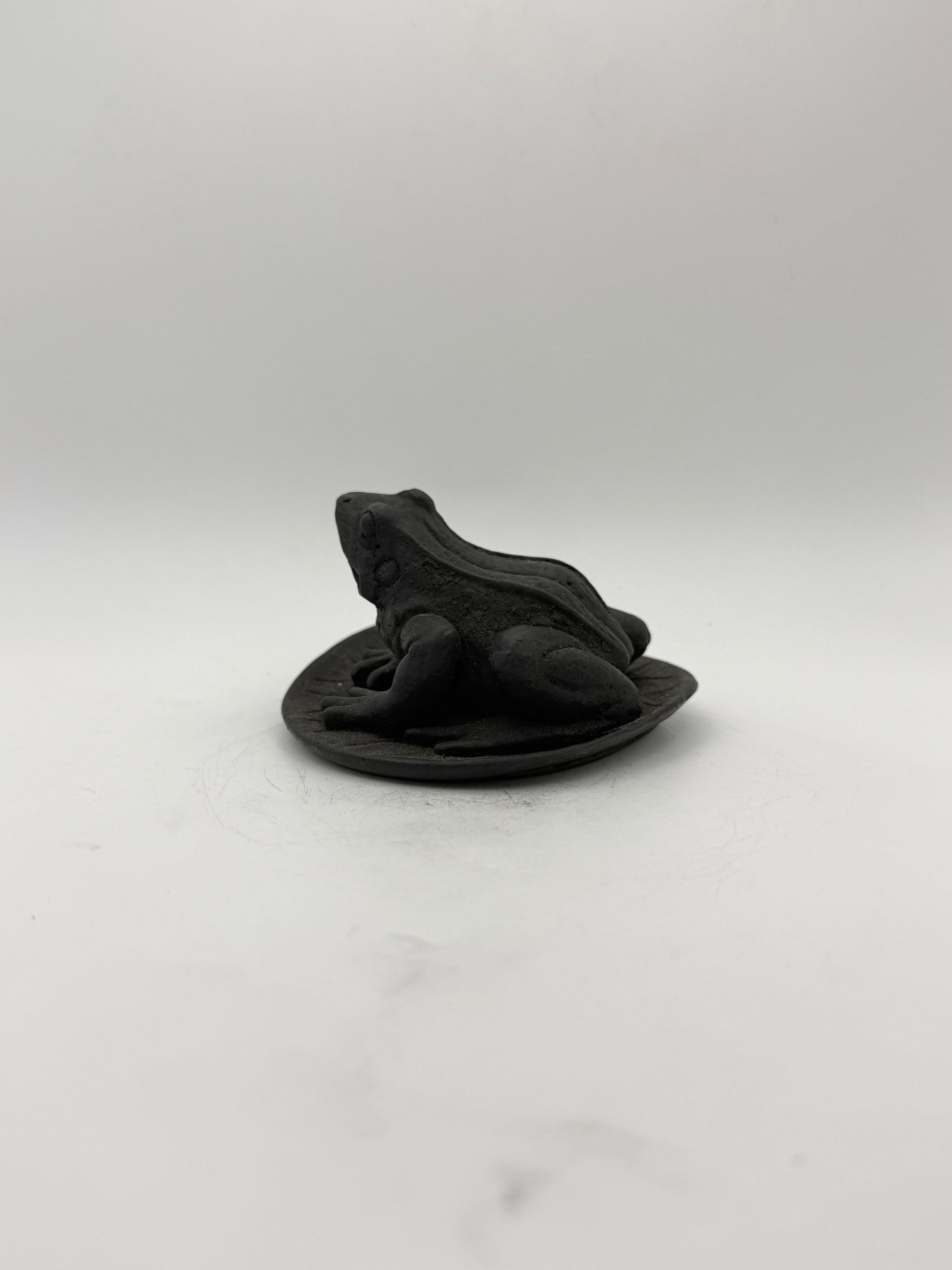 Shungite carving of a frog on a leaf.