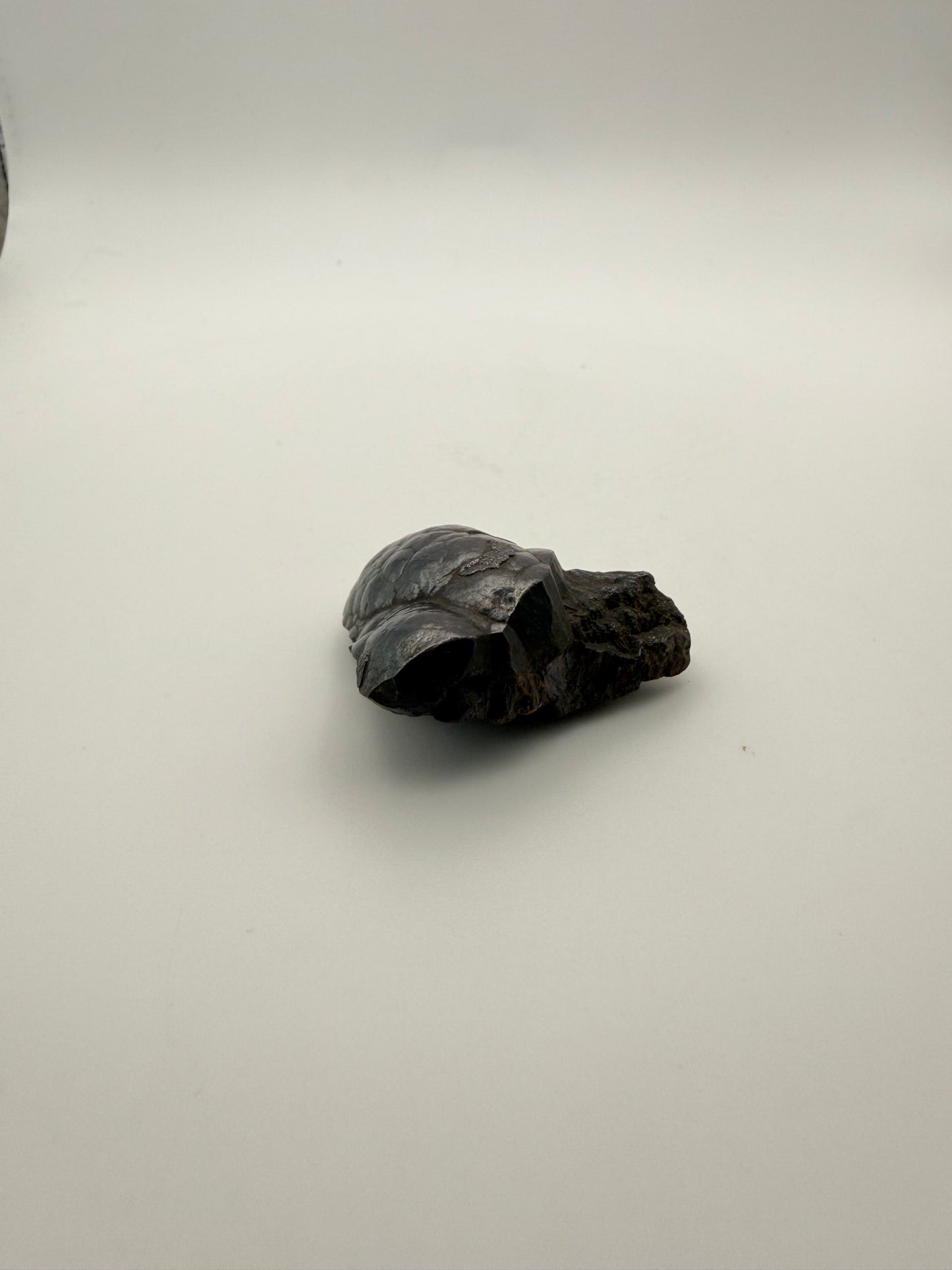Small raw hematite specimen.