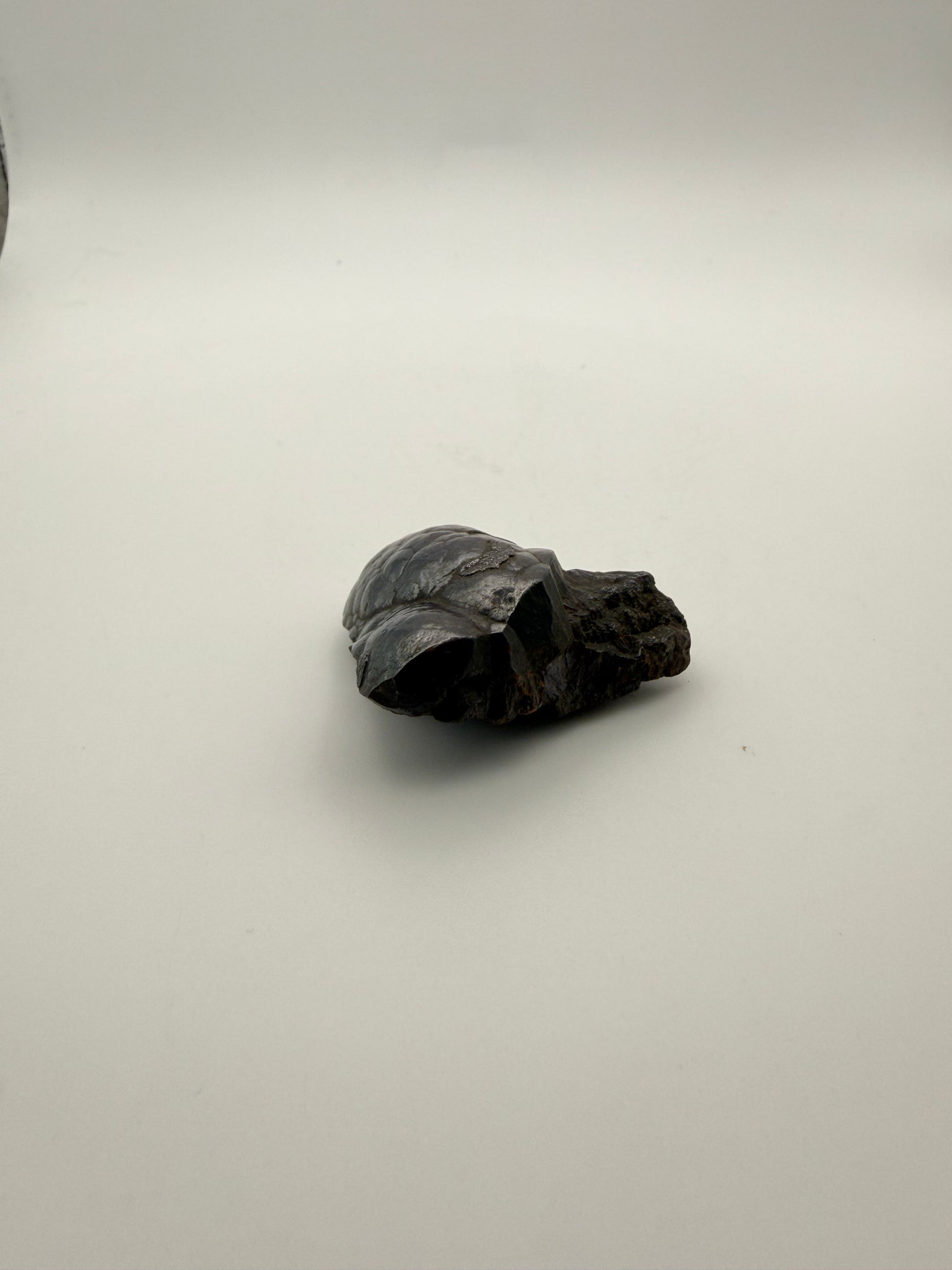 Small raw hematite specimen.