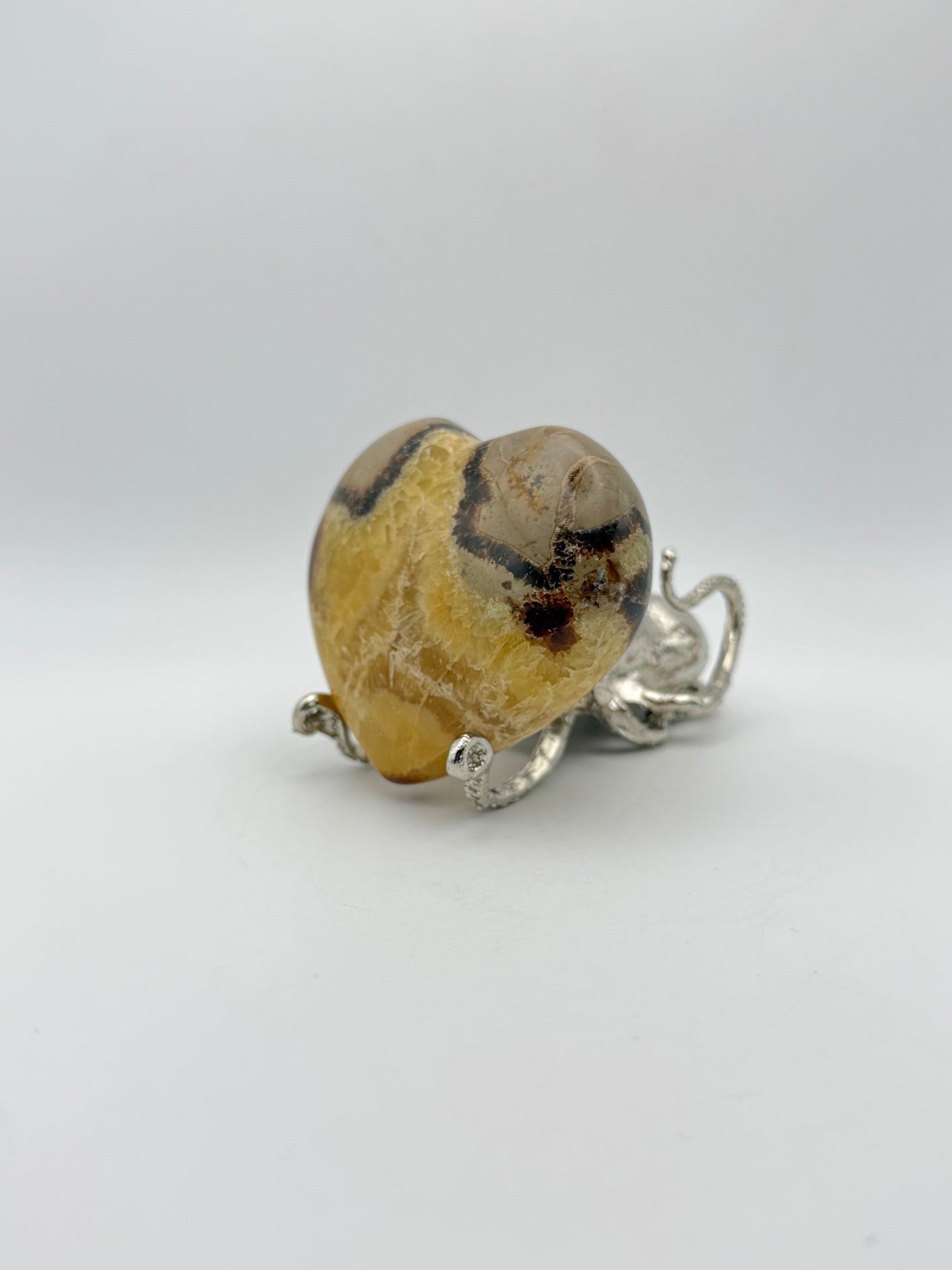 Polished septarian heart.