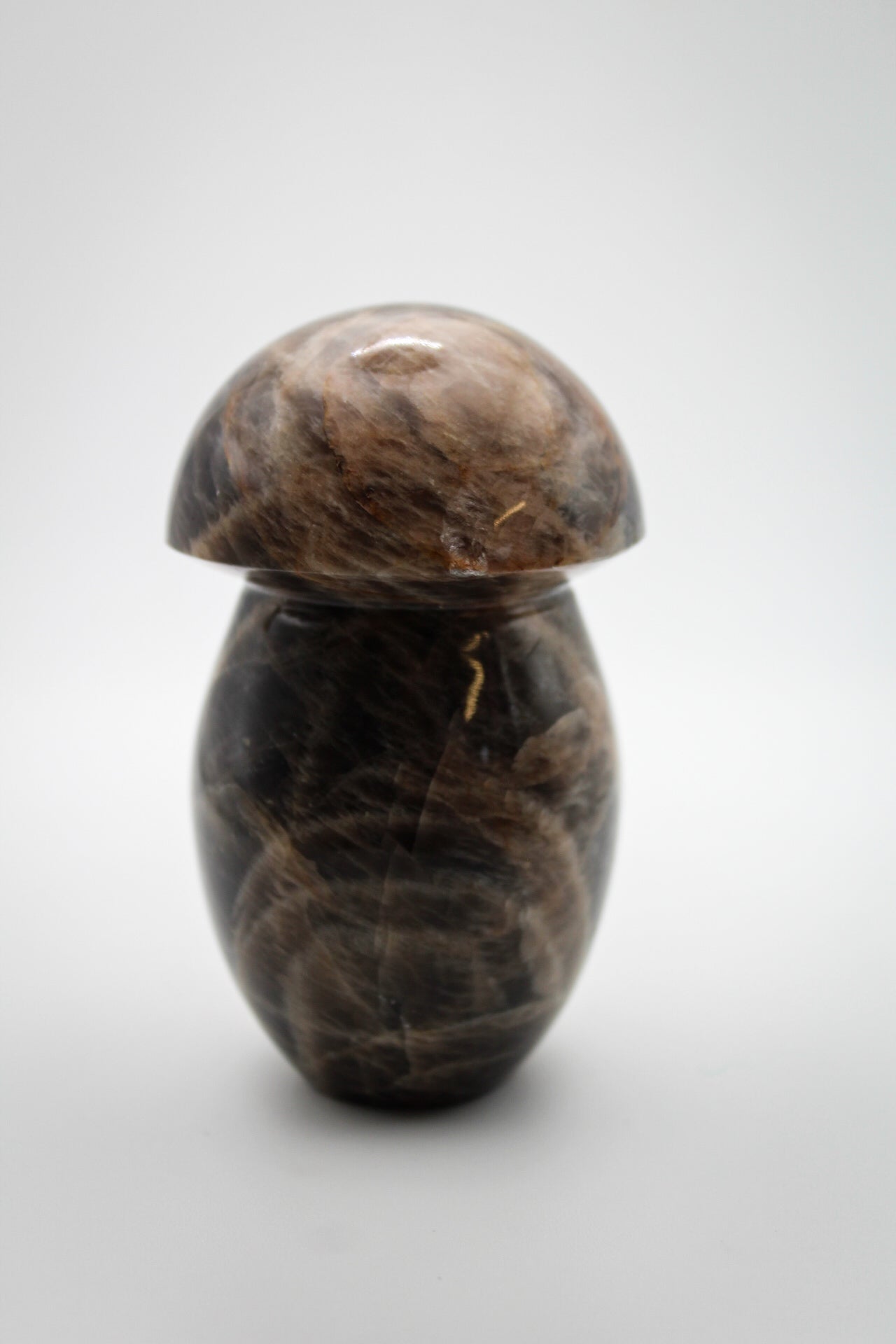 Black Moonstone Mushroom 1