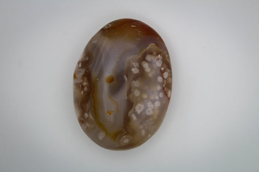 Flower agate palm 10