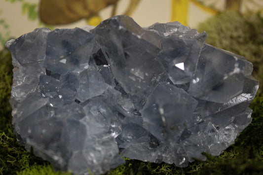 Celestite