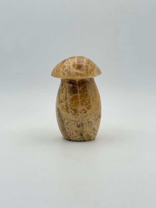 Polished yellow moonstone in the shape of a mushroom.