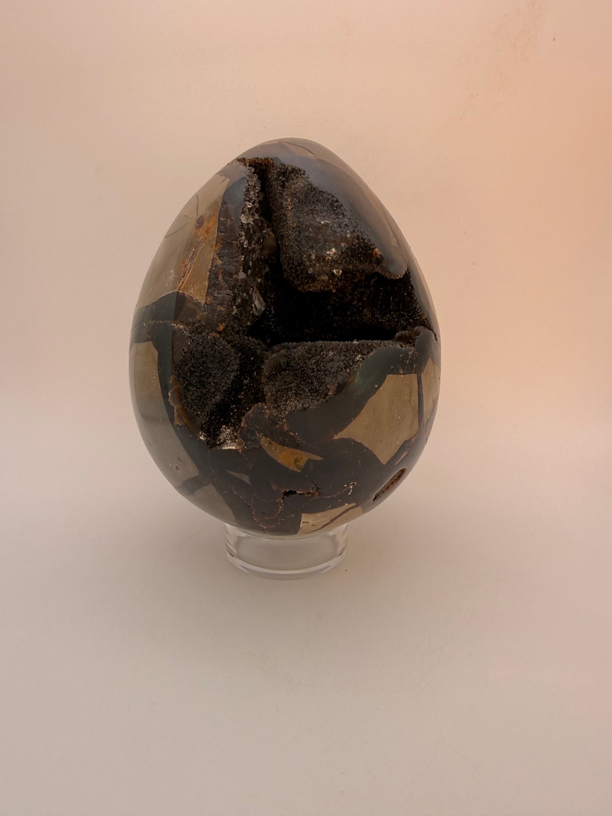 Large septarian egg.