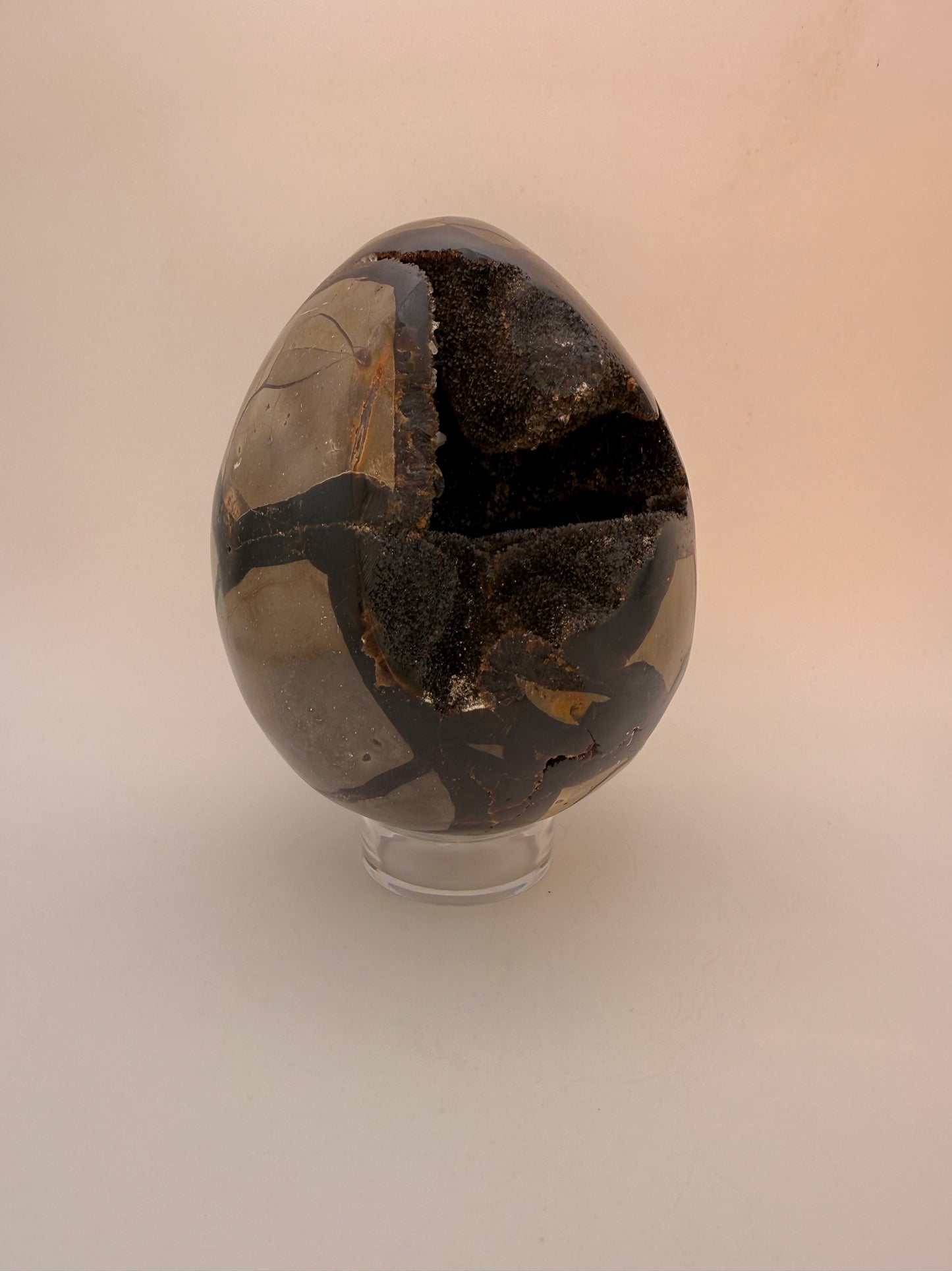 Large septarian egg.