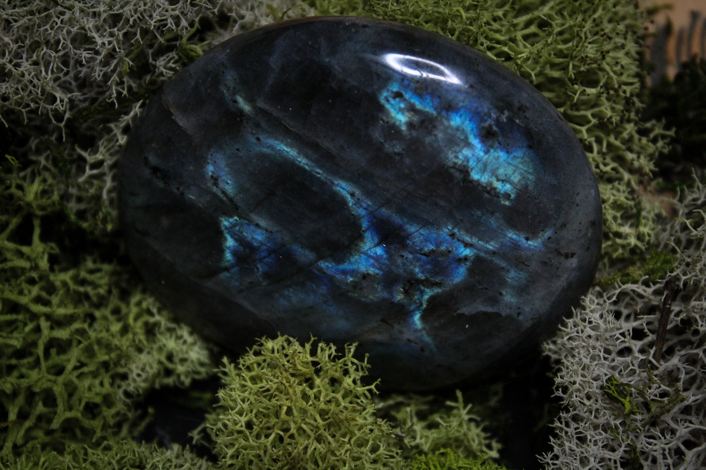 Labradorite Palm Stone #15