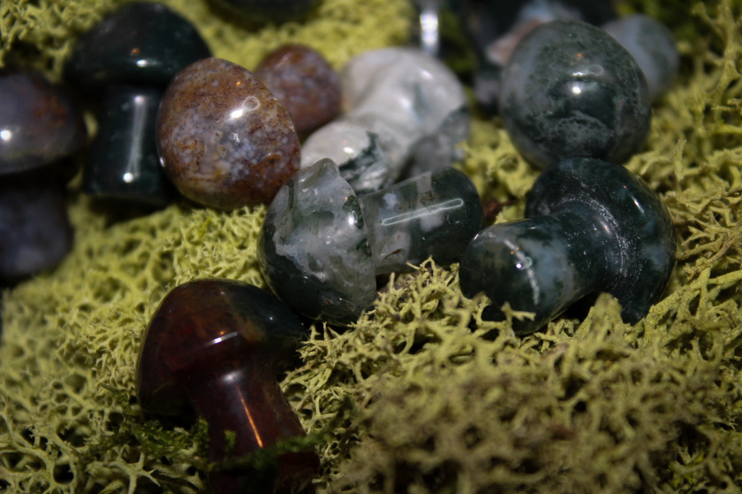 Mini Moss Agate Mushrooms